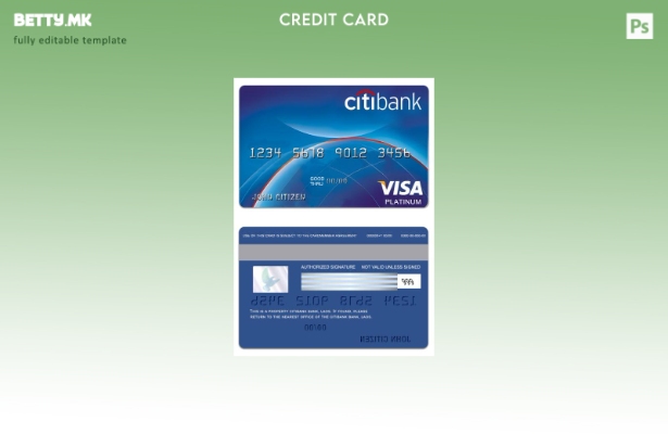 Модерен стил Лаос PayPower банка шаблон виза платина картичка